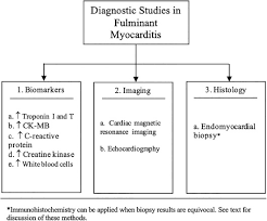 All of them had chest pain, and five had a fever. Fulminant Myocarditis Epidemiology Pathogenesis Diagnosis And Management American Journal Of Cardiology