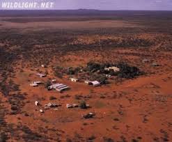 Sheep Station In Western Australia Outback Australia Australia Western Australia