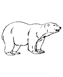 Coloring pages for toddlers, preschool and kindergarten. Polar Bear Coloring Pages Printable Coloring4free Coloring4free Com