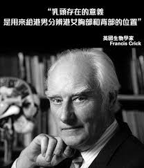 向西村上春樹- 原來高登一眾爸打對於ig /...