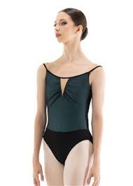 Image result for Nicolasia nitens