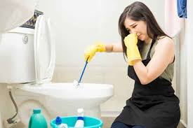 to dissolve poop stuck in the toilet