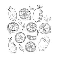 Find & download free graphic resources for vitamin color. Lemons Black And White Citrus Fruits For Coloring Pages Doodle Illustration For Design Stock Vector Illustration Of Vitamin Fresh 93926097