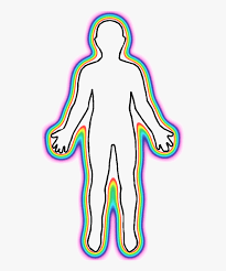Body map head area 1 2 23 or 24 neck area 3 or 25. Clipart Human Body Outline Blank Human Body Diagram No Background Hd Png Download Kindpng