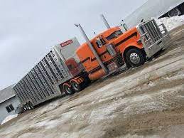 Pin By Whiteboy Busch On Slick Petes Peterbilt Trucks Big Trucks Trucks