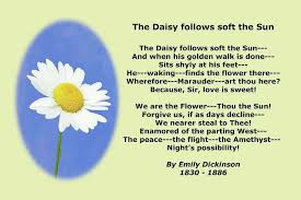 Daisy Love Emily Dickinson Dickinson Emily Dickinson Poems