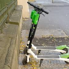 1,215 likes · 93 talking about this · 8 were here. Kleingarten In Dresden So Lebt Dresden