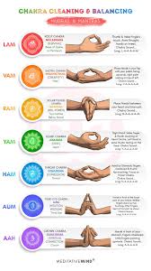 Open the root chakra (red). Chakra Cleaning Balancing Mudras Mantras Yoga Meditation Inspiration Chakra Meditation Chakra Health