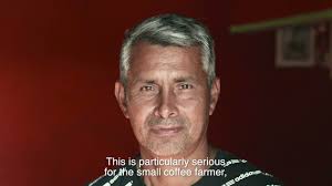 17 Latino and Latina-Owned Ecommerce Businesses to Support