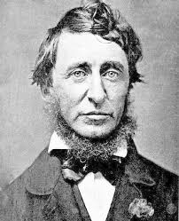 Back Home: the spirit prepares herself; with time out for Leave No Trace &  Gavagai