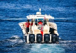 Image result for Nero Oceano 2007 159