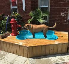 13 Dog Swimming Pool Ideas To Beat The Heat Of Summer Pet Friendly Backyard Dog Pool Dog Friendly Backyard