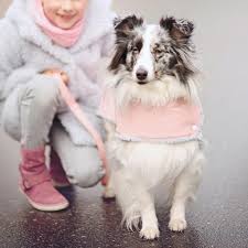 Mit dieser anleitung fürs mundschutz nähen mit. Hundemantel Nahen Freebook