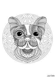Ici vous allez découvrir du coloriage mandala sur les animaux comme vous n'en avez jamais vu. Mandala Tete Chien 2 Mandalas Coloriages Difficiles Pour Adultes
