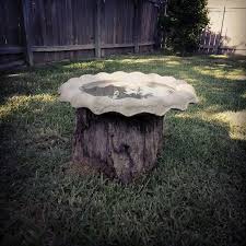 Diy Tree Stump To Bird Bath Conversion Diy Bird Bath Bird Bath Planter Bird Bath