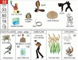 Yang biasa dimanfaatkan para pemain togel, dalam mencari. Erek Erek Ular 2d 3d 4d Dalam Buku Mimpi Dan Kode Alam Teras Mimpi