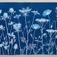 Botanical Cyanotype Printing: Adult Art Program