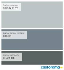 Castorama Nuancier Peinture Mon Harmonie Peinture Gris Bleute Satin De Colours Collection Nuancier Peinture Peinture Gris Clair Peinture Bleu Gris