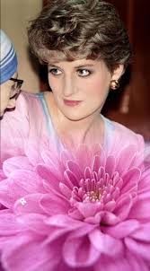 Pin by Dwight Prescott