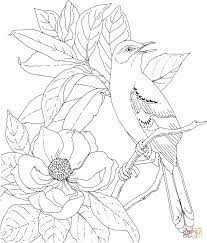 Print free bird and flowers coloring page and color to decorate for your house or room. Birds And Flowers Coloring Pages Coloring Home