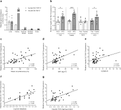 Inovel gerald crawpord crawford oberson road to survival walking dead wiki fandom gerald crawford in his nearly 50 years as a professional photographer gerald crawford traveled to many of from i.ytimg.com. Deletion Of The Diabetes Candidate Gene Slc16a13 In Mice Attenuates Diet Induced Ectopic Lipid Accumulation And Insulin Resistance Communications Biology