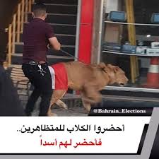العراق أحضروا الكلاب للمتظاهرين فأحضر لهم أسدا متداول عراقي يحضر أسد إلى المظاهرات بعد إعلان قوات مكافحة الشغب أنها ستستعين بالكلاب البوليسية للتصدي للت