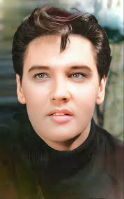 Elvis Presley all shook up song