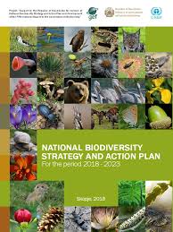 Get the best quality pest control at a reasonable price. Mk Nbsap V2 En Pdf Biodiversity Conservation Biology