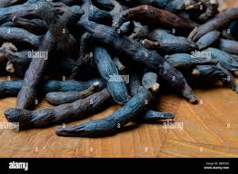 Image result for Xylopia acutiflora