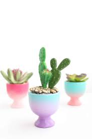 Growing a cactus from seed. Diy Mini Gradient Egg Cup Planters A Beautiful Mess