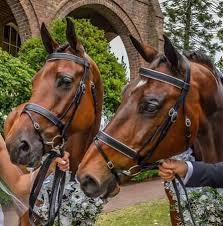 David Quayle Custom Made Snaffle Bridle (Padded)