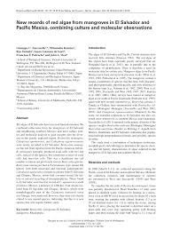 The classic), and el clásico de clásicos (english: Pdf New Records Of Red Algae From Mangroves In El Salvador And Pacific Mexico Combining Culture And Molecular Observations