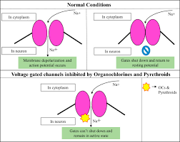 Simple & engaging videos to help you learn. Global Trends In Pesticides A Looming Threat And Viable Alternatives Sciencedirect