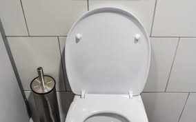 Check the floor around base of the toilet for water; Tips On Fixing These 5 Common Toilet Problems Order A Plumber Inc