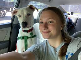 Hi! I'm Emily & I just wanted to introduce myself. I do in home dog sitting  all around town if anyone is in need🐾❤️