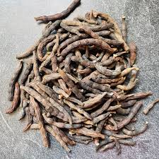 Image result for Xylopia aethiopica