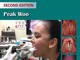 Stroboscopy and High-Speed Imaging of the Vocal Function