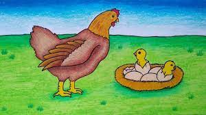 ~ pensil hb untuk sketsa gambar ～crayon. Cara Menggambar Ayam Menggambar Induk Ayam Dan Anak Menggambar Telur Menetas Youtube