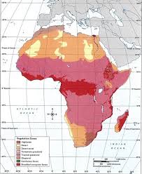 I recommend mediterranean scrub, desert steppe, savanna, woodlands, or tropical forests. Use The Attached Map To Answer The Questions What Is The Least Common Vegetation Found In Africa In Brainly Com