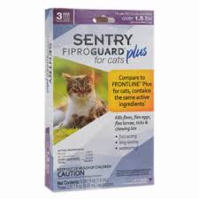 The 5 Best Flea Treatments For Cats For 2019 Reviews Com