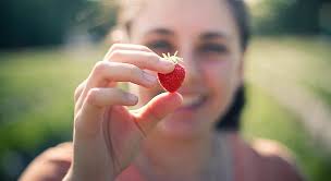 Global Agritourism Network launch and webinar