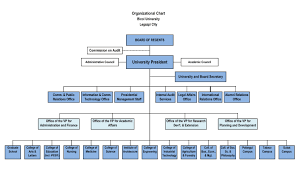 actual organizational structure of a construction company