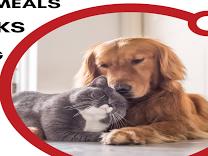 CAT BOARDING product image