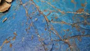 Your first call for residential pest control services in valdosta, ga. Bairds Pest Control Llc Home Facebook