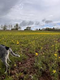 Image result for tbn:0PJB32OL7JwfOM::farm4.static.flickr.com/3324/3329876139_f2d551139f.jpg