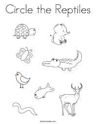 Komodo dragon, chameleon, iguana, alligator, and tortoise. Circle The Reptiles Coloring Page Twisty Noodle