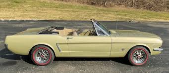 Image result for Honey Gold 1965 Mustang