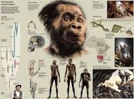 Did Homo naledi “Bury” their Dead? – World of Paleoanthropology