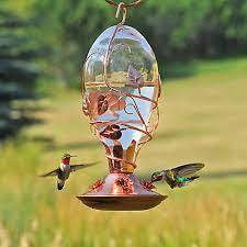 It hits all the marks for style, size, customer reviews and price. Perky Pet Looking Glass Hummingbird Feeder 8110h 1 Perkypet Com