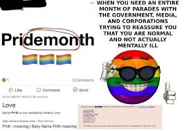 When You Need An Entire Month Of Parades With The Government Media And Corporations Trying To Reassure You That You Are Normal And Not Actually Mentally Ill 2 Comments Like Comment Send